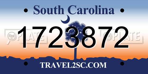 1723872 South Carolina License Plate
