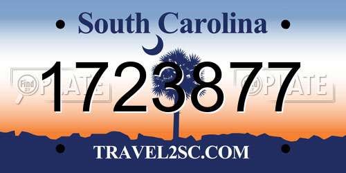 1723877 South Carolina License Plate