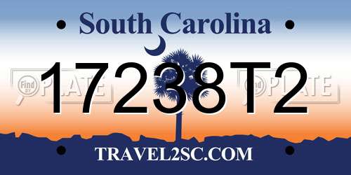 17238T2 South Carolina License Plate