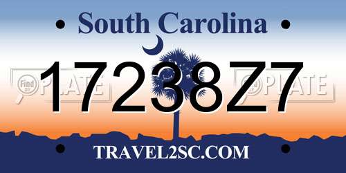 17238Z7 South Carolina License Plate