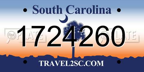 1724260 South Carolina License Plate