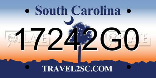 17242G0 South Carolina License Plate