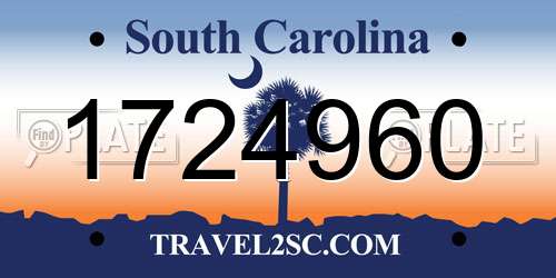 1724960 South Carolina License Plate
