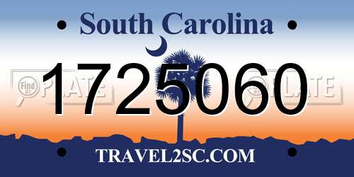 1725060 South Carolina License Plate