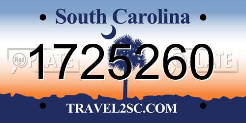 1725260 South Carolina License Plate