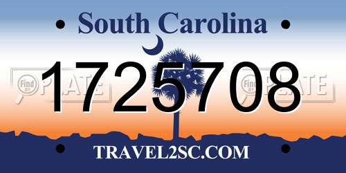 1725708 South Carolina License Plate