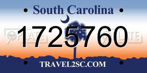 1725760 South Carolina License Plate