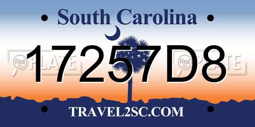 17257D8 South Carolina License Plate
