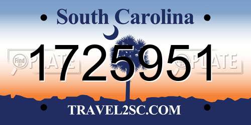 1725951 South Carolina License Plate