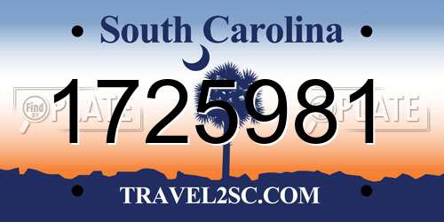 1725981 South Carolina License Plate