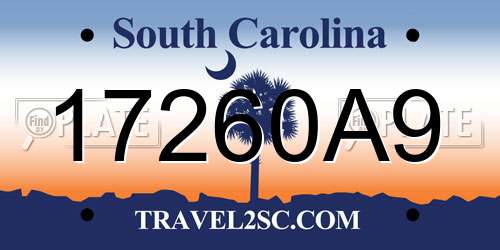17260A9 South Carolina License Plate