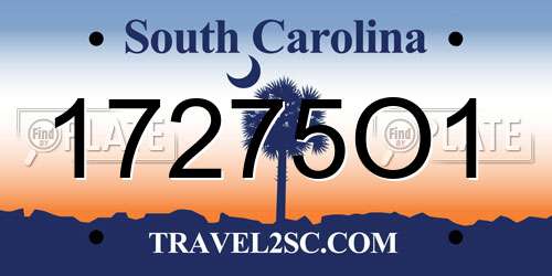 17275O1 South Carolina License Plate