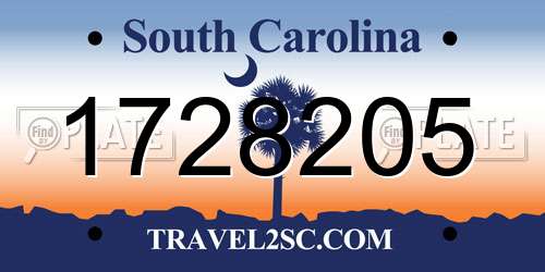 1728205 South Carolina License Plate