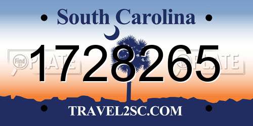 1728265 South Carolina License Plate