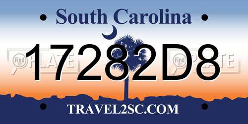 17282D8 South Carolina License Plate