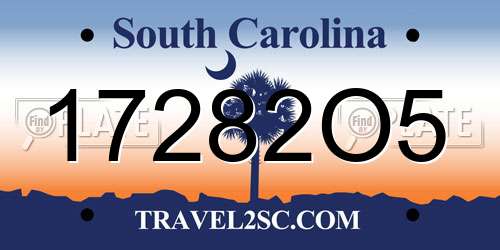 17282O5 South Carolina License Plate