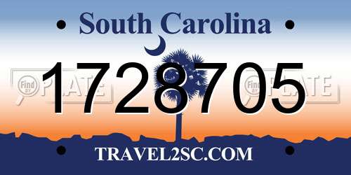 1728705 South Carolina License Plate