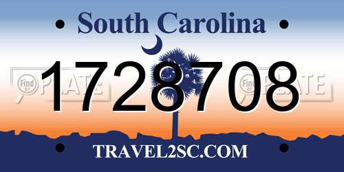 1728708 South Carolina License Plate