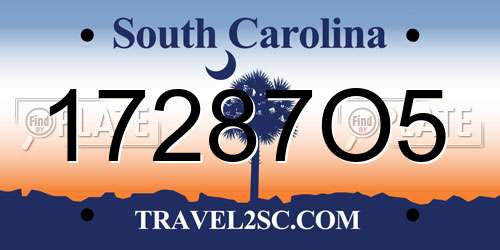 17287O5 South Carolina License Plate
