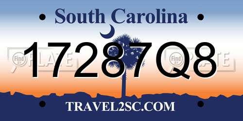 17287Q8 South Carolina License Plate