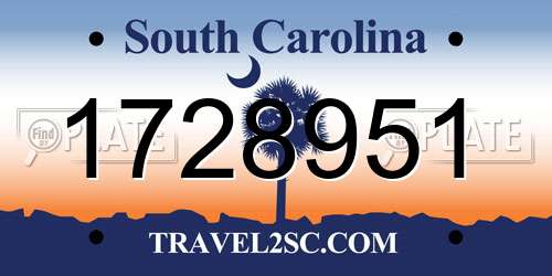 1728951 South Carolina License Plate