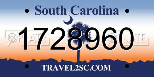 1728960 South Carolina License Plate