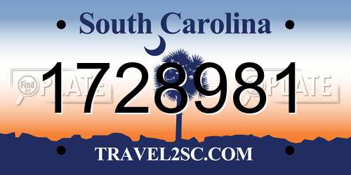 1728981 South Carolina License Plate
