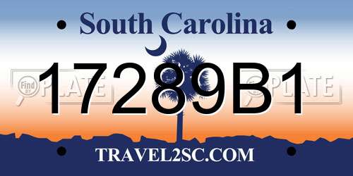 17289B1 South Carolina License Plate