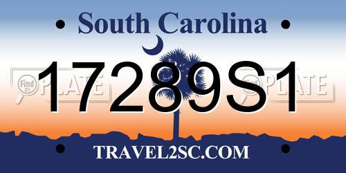 17289S1 South Carolina License Plate