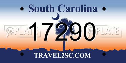 17290 South Carolina License Plate