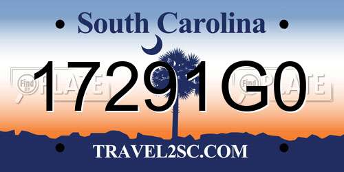 17291G0 South Carolina License Plate