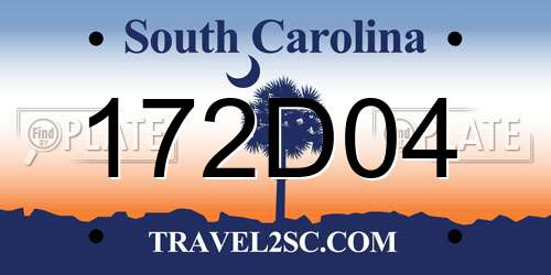 172D04 South Carolina License Plate