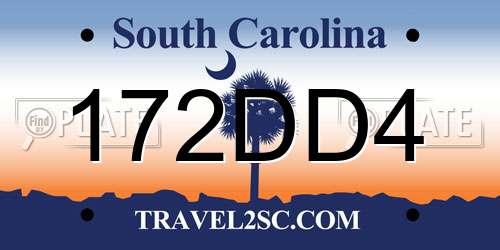 172DD4 South Carolina License Plate