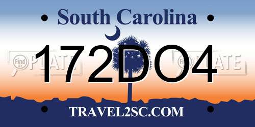 172DO4 South Carolina License Plate