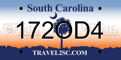172OD4 South Carolina License Plate