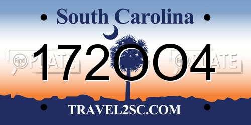 172OO4 South Carolina License Plate