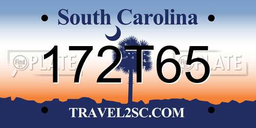 172T65 South Carolina License Plate