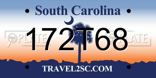 172T68 South Carolina License Plate
