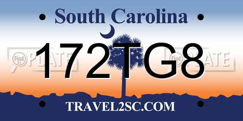172TG8 South Carolina License Plate