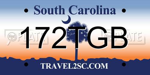 172TGB South Carolina License Plate