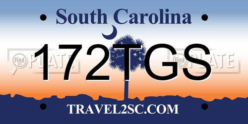 172TGS South Carolina License Plate