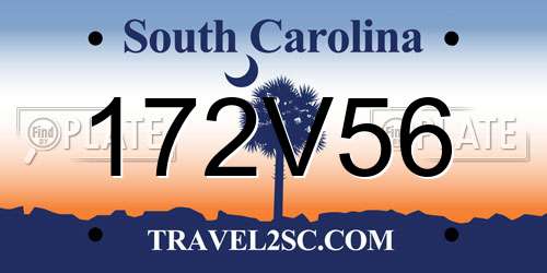 172V56 South Carolina License Plate