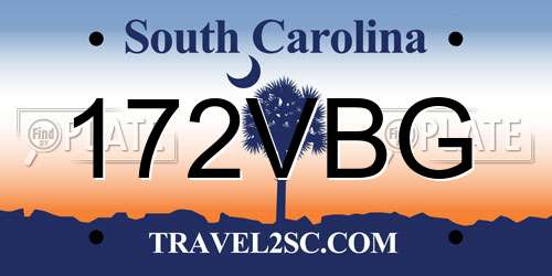 172VBG South Carolina License Plate