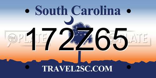 172Z65 South Carolina License Plate