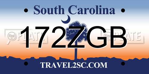 172ZGB South Carolina License Plate