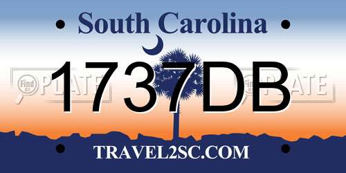1737DB South Carolina License Plate