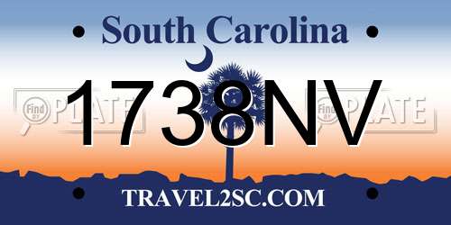 1738NV South Carolina License Plate