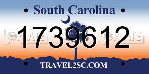 1739612 South Carolina License Plate