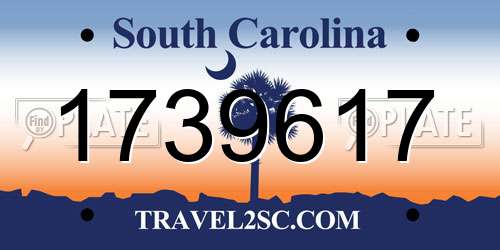 1739617 South Carolina License Plate