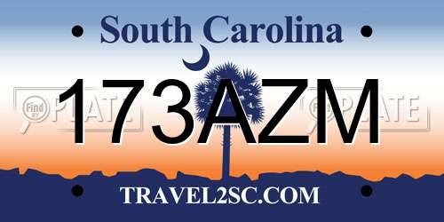 173AZM South Carolina License Plate